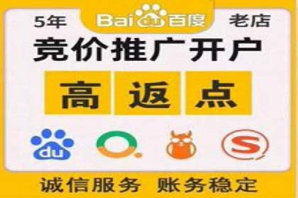 行业领先企业的关键词竞价排名实战案例